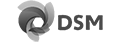 dsm_logo_home_manusis4